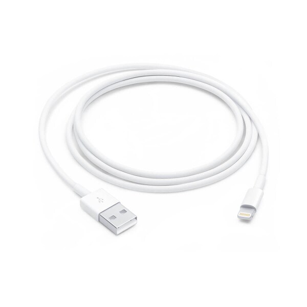 Apple Lightning to USB Cable 1M